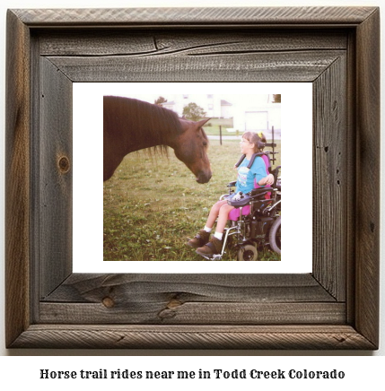 horse trail rides near me in Todd Creek, Colorado